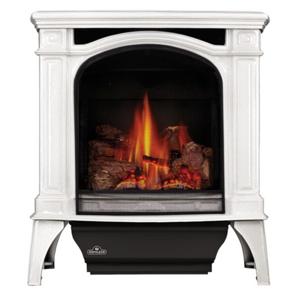 Napoleon Bayfield Direct Vent Cast Iron Gas Stove - Winter Frost